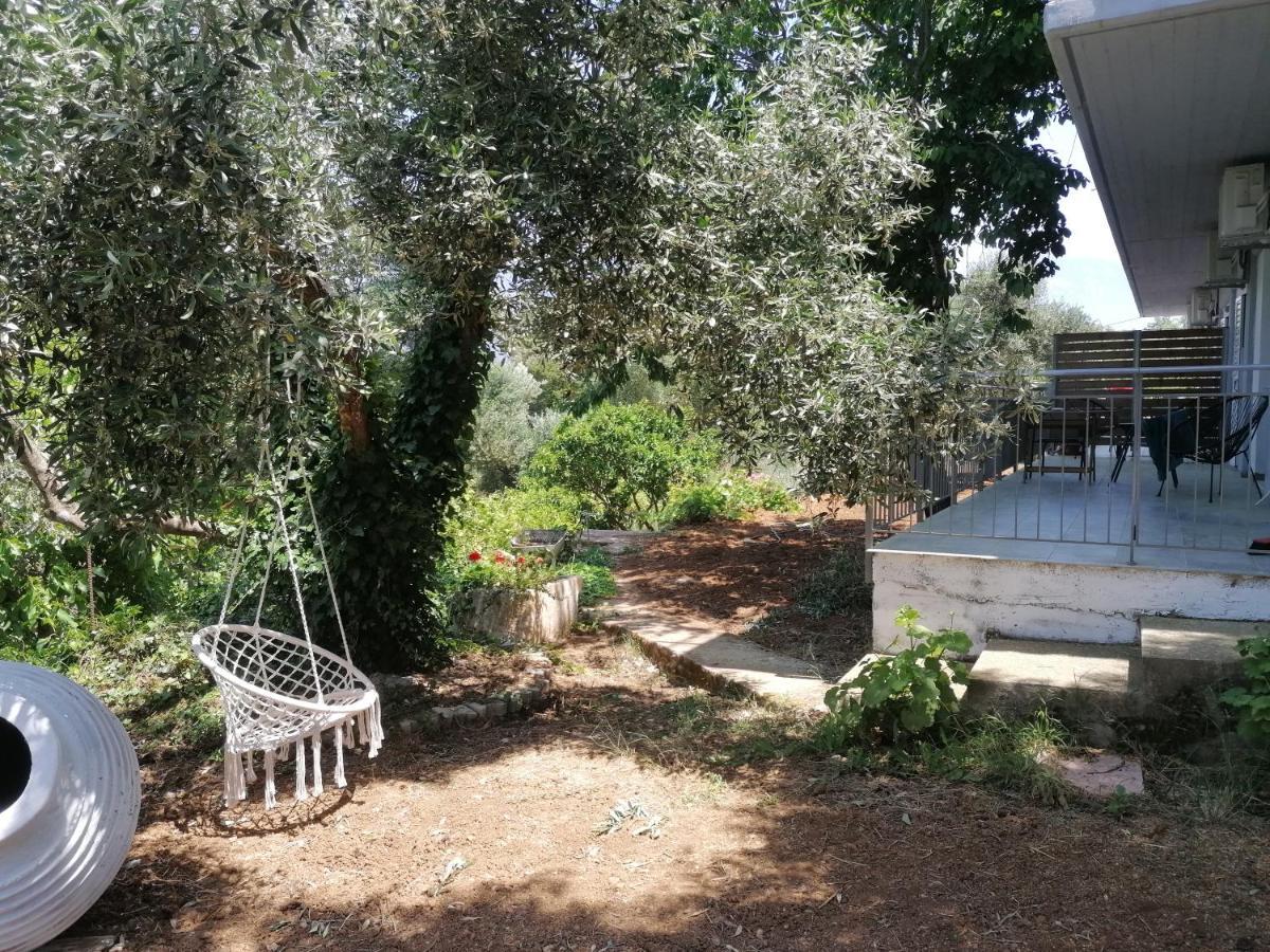 ספרטיה Alexander Apartments מראה חיצוני תמונה