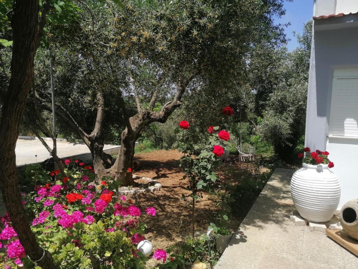 ספרטיה Alexander Apartments מראה חיצוני תמונה