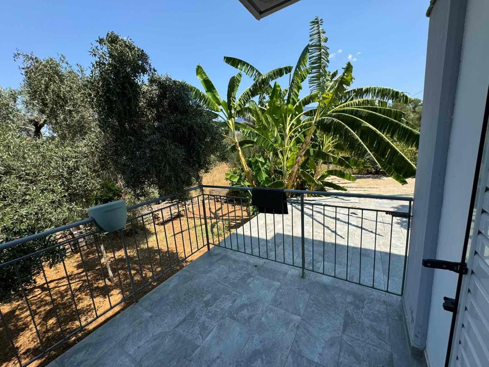 ספרטיה Alexander Apartments מראה חיצוני תמונה